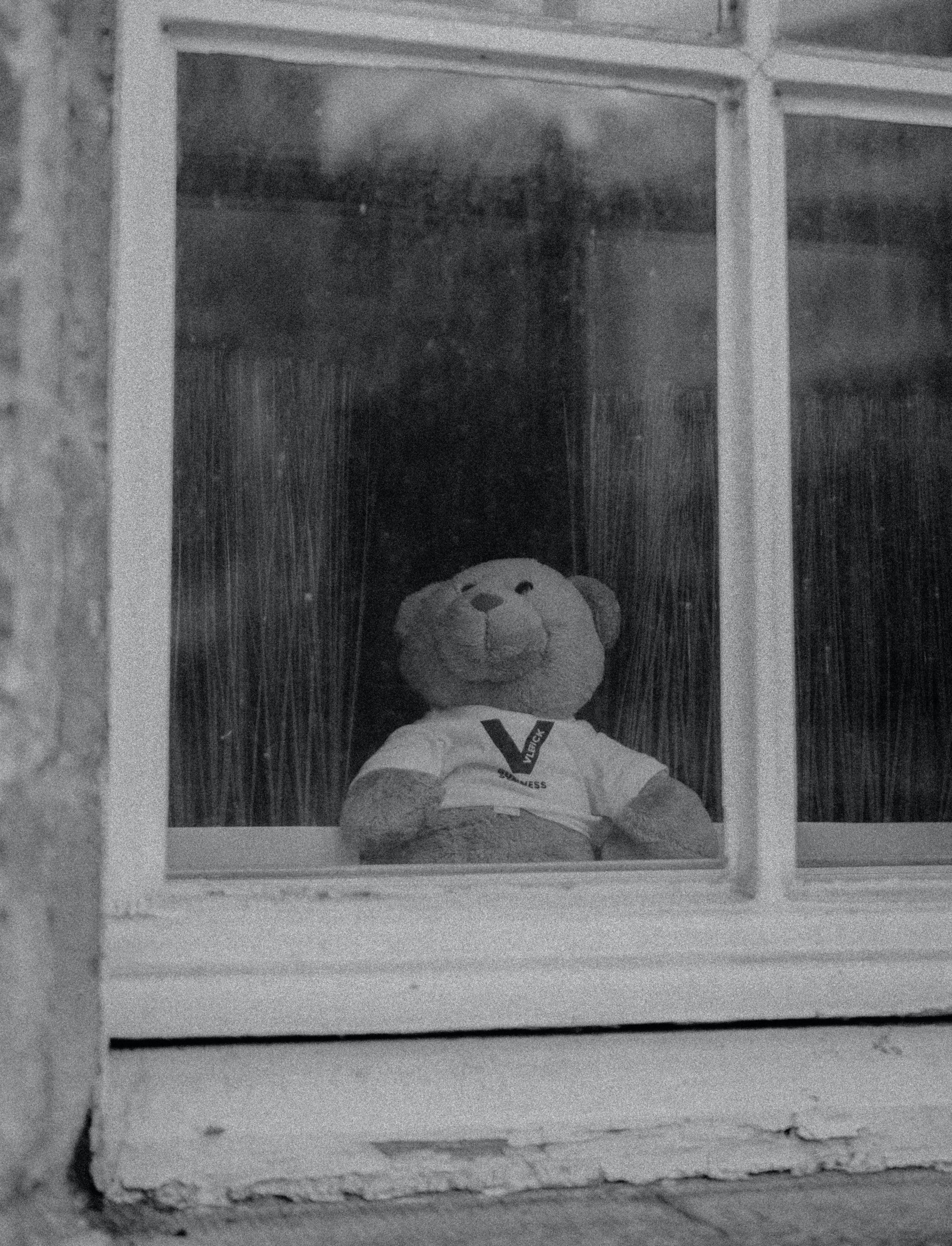 grayscale photo of bear plush toy in window
