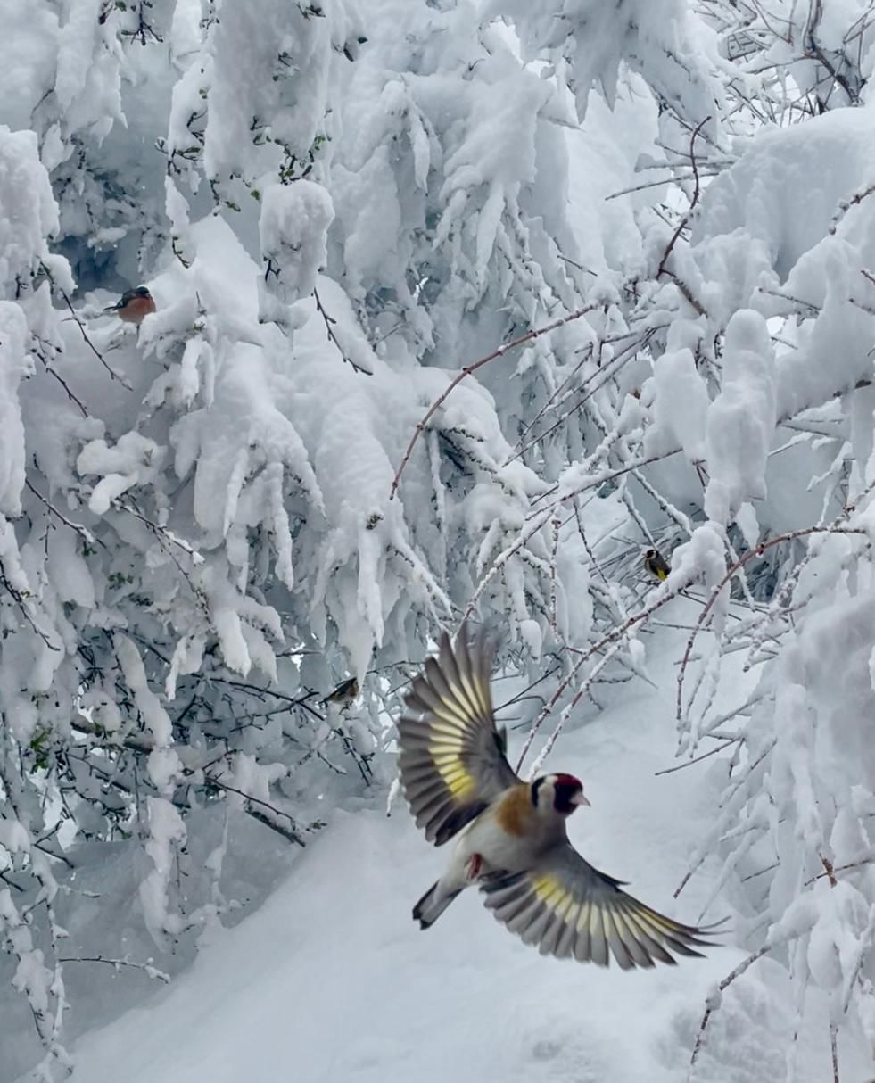 Contes_de_Noel_2025 cours-conte-1-initiation